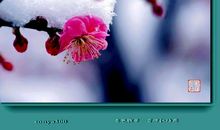 关于花海的比喻句