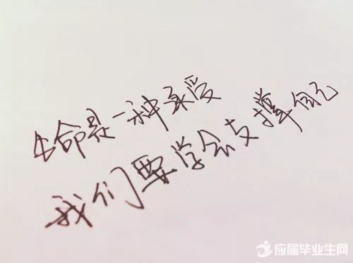 关于放开爱的一句话