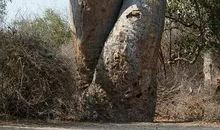 鬼斧神工造句大全