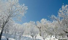 描写雪后美景的成语