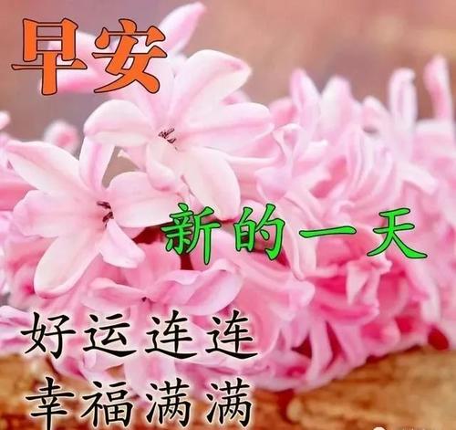 2020年最美的句子