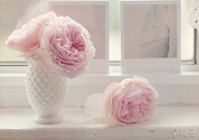 爱情句子谈论情绪：恋爱时男人用眼，恋爱时女人用心1