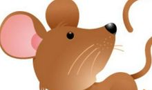 耗子掉水缸歇后语