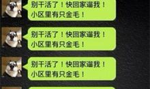 关心病人的短信