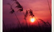 用风和日丽造句