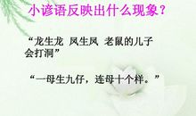 不能只看表面现象谚语