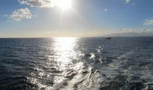 使人心情平静的句子