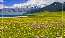 草原风景比喻句