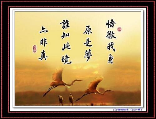 企业主的座右铭