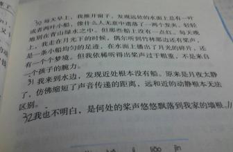 美丽的句子描述小女孩