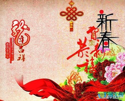 婴儿新年祝福