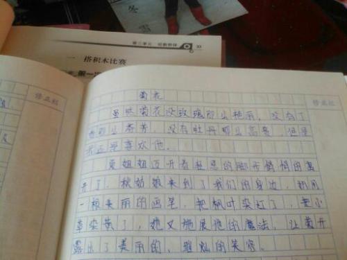 关于植物的寓言