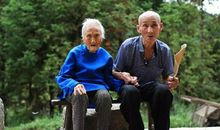 写橡树的比喻句