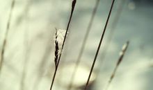 沉默久了的经典语录