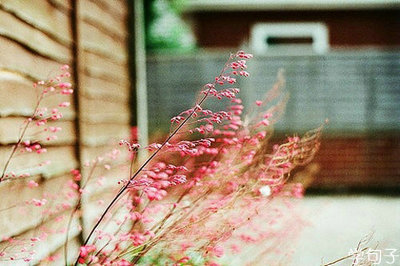 最伤心的一句话经典的一句话：我被你深深地伤害了，但仍然想着你