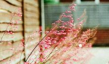 最伤感的句子经典语句：被你伤的如此深，却还是念着你