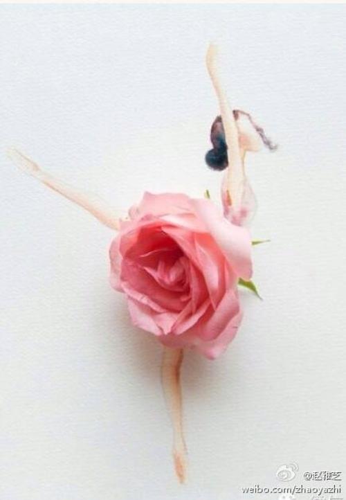 描绘女性的华丽句子