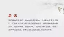 打造狼性销售团队口号