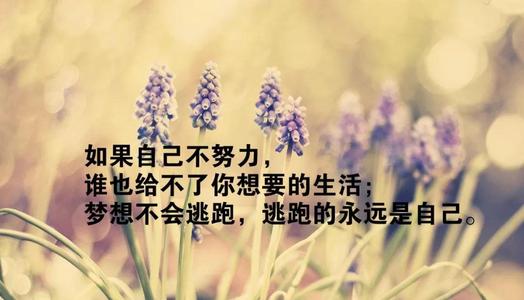 佛教正能量经典语录