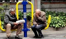 蛤蟆坐在井里歇后语