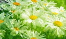 哲理个性签名大全2020最新版的