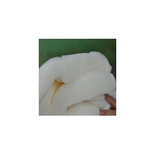 关于棉花的隐喻