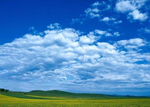 关于草原的寓言