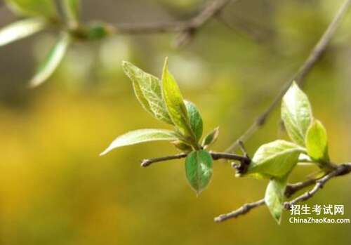 隐喻句赞美黄河