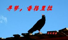 关于信念的比喻句