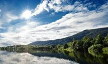 优美动情的句子