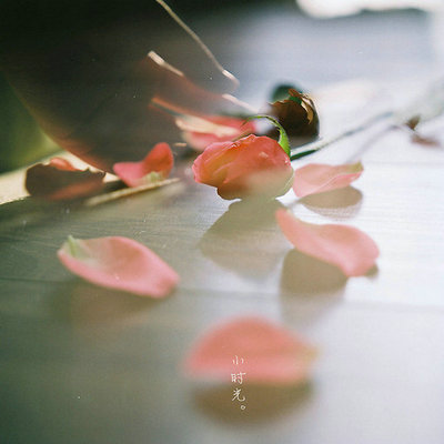 优美的句子段落带有图片，寂寞就像夏天的雨，无情地滴水，草丛倾斜