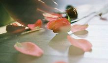 优美的句子段落带图片，寂寞似夏中雨，无情淋漓，百草斜