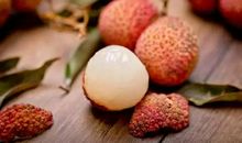 形容荔枝的比喻句