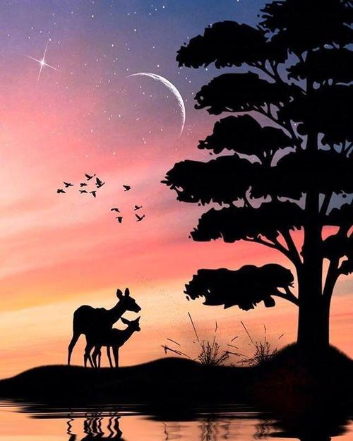 Tik Tok励志格斗句子