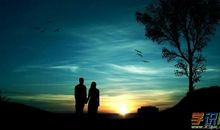 跟女孩表白的话