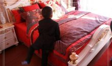 给小姨发新年祝福语