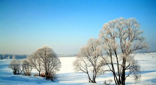 简短的句子描述冬天