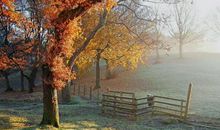 关于秋景的比喻句