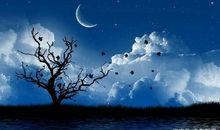 2020哲理个性签名