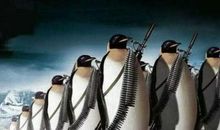 初中体育节口号霸气有气势的