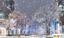 描写下雪天的句子