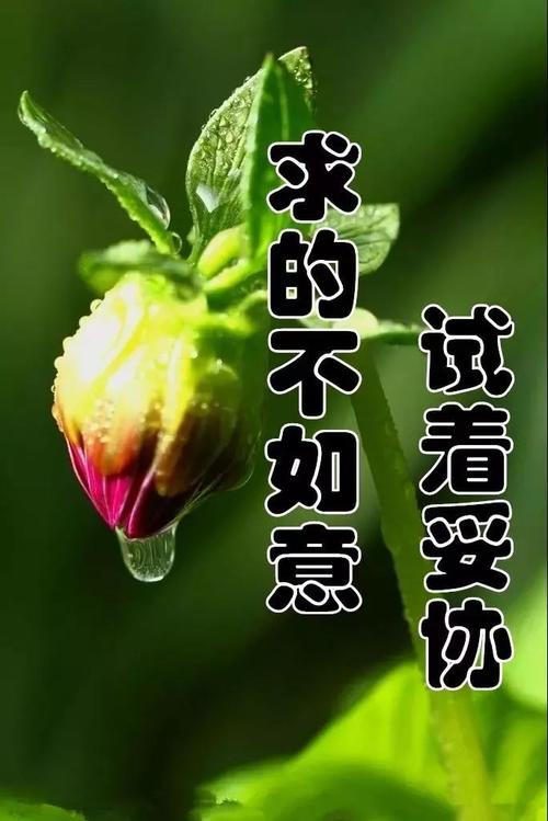 表达幸福的句子