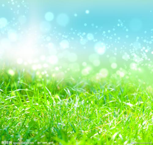 句子描述春天的草