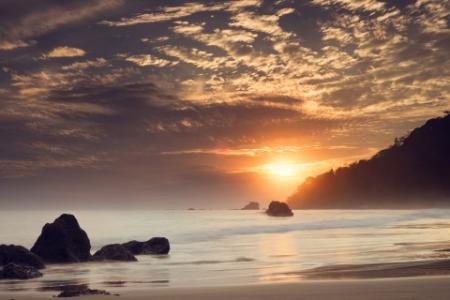 奉献自己的谚语