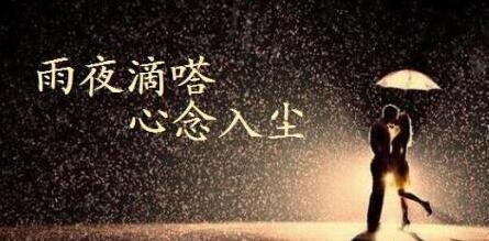 2020年最新的情感和感受