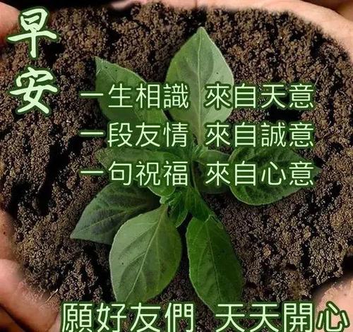 在下雨天开业的问候