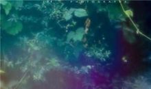 qq唯美诗意句子大全