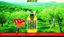 橄榄油的广告标语