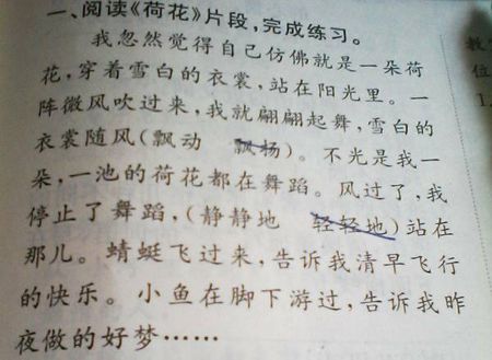 写拟人化的句子