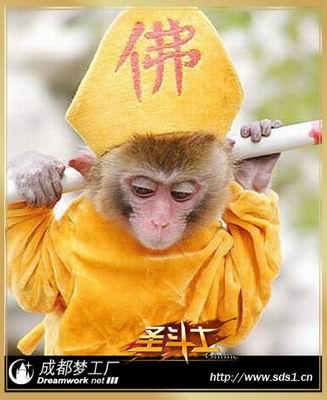 太阳猴化身为一座山神庙谢侯yu